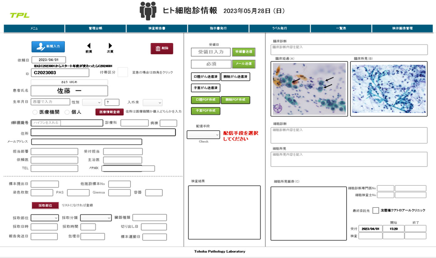 データベース　細胞診